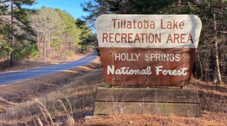 Sign for Tillatoba Lake Recreation Area in Holly Springs National Forest in Mississippi.