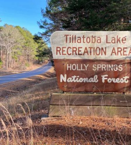 Sign for Tillatoba Lake Recreation Area in Holly Springs National Forest in Mississippi.
